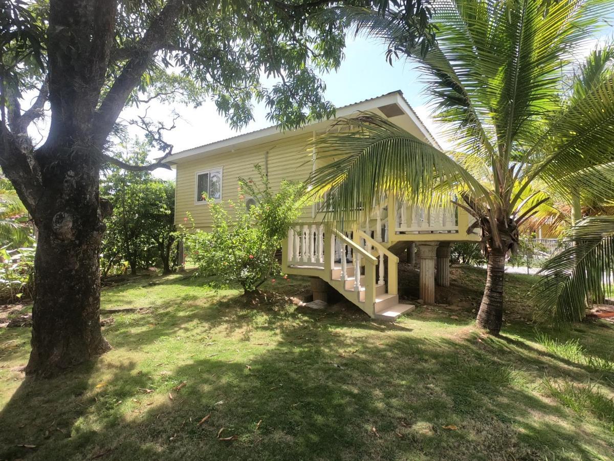 Single-Family Home With Gated Tropical Yard West End Exteriér fotografie